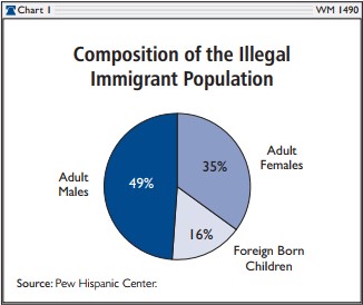 Composition of the Illegal Immigrant Population 