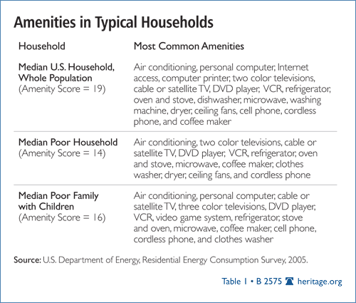 Amenities in Typical Households