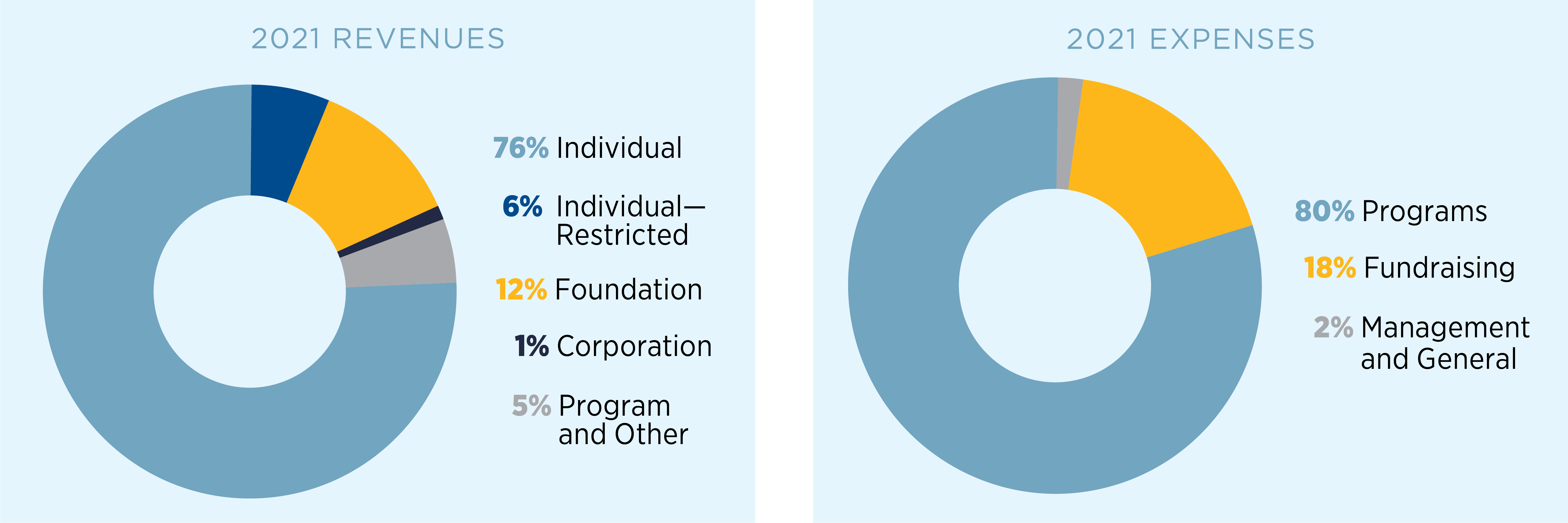 2021_annualreport_financials.png