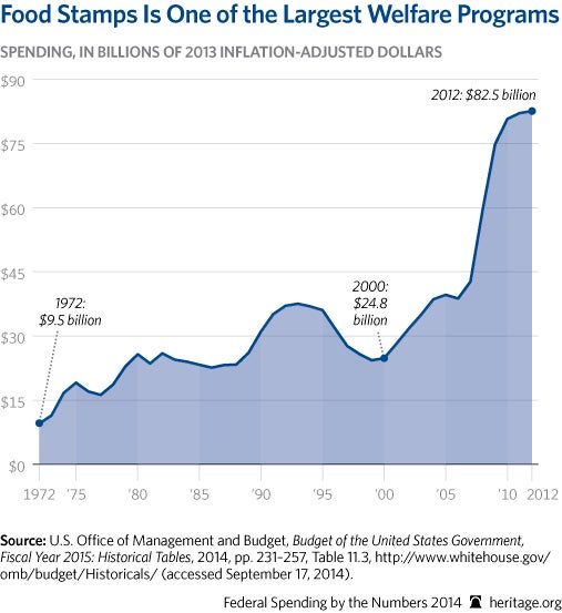 CP-Federal-Spending-by-the-Numbers-2014-08-1-anti-poverty_507.jpg 