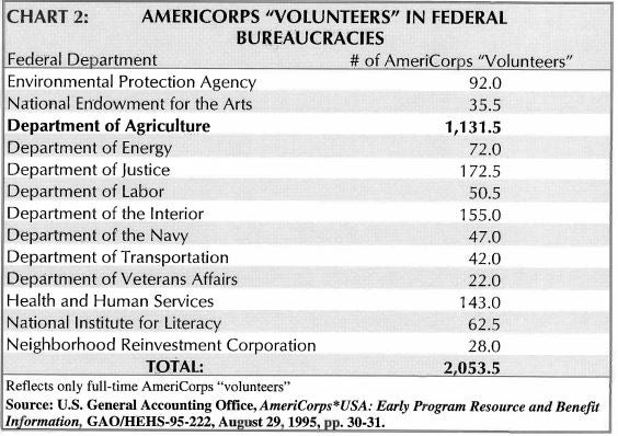 AmeriCorps "Volunteers" in Federal Bureaucracies