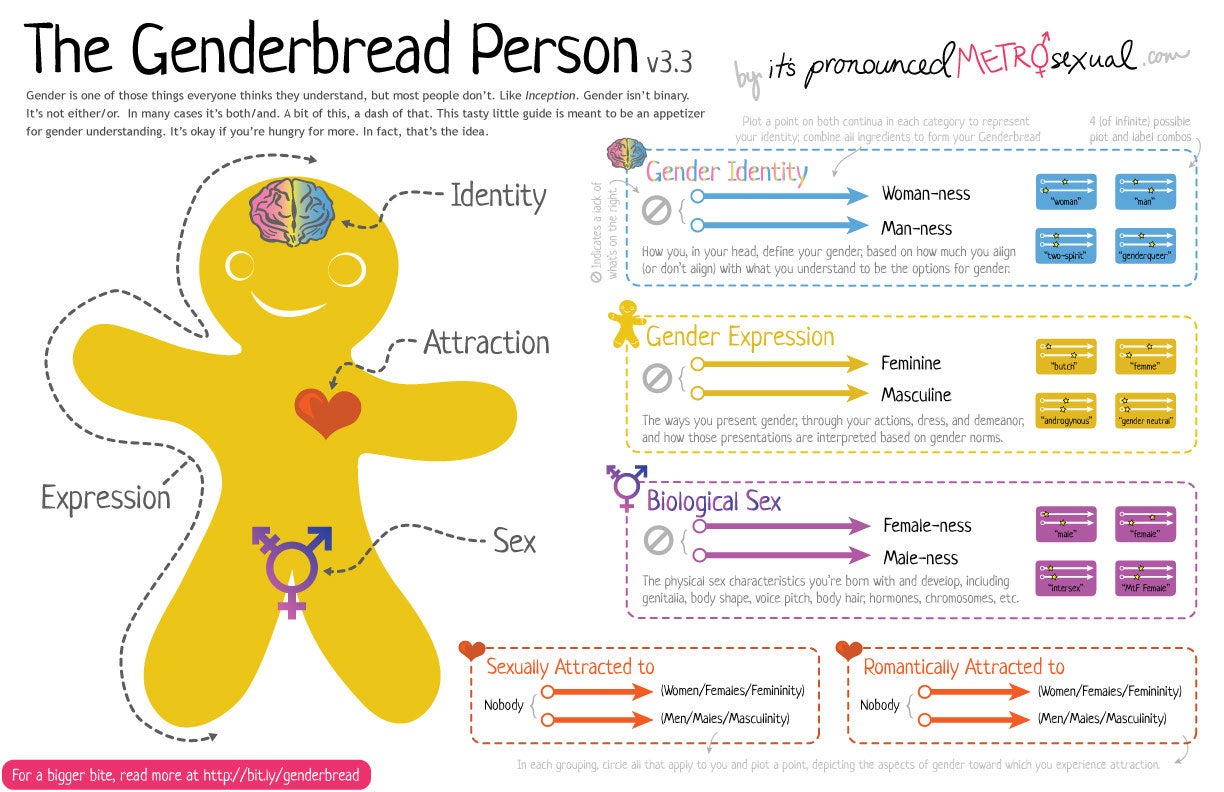 Genderbread-Person-3.3.jpg 