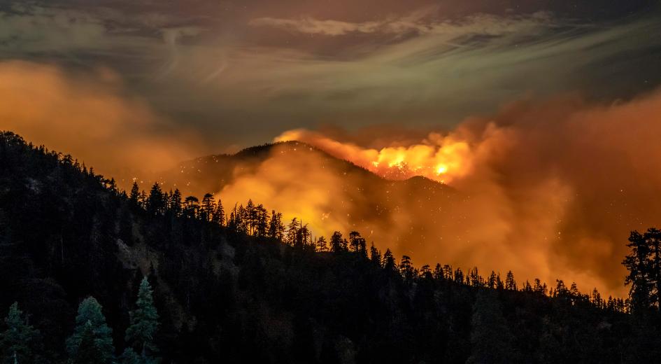 The Facts About Climate Change and California Fires | The Heritage ...