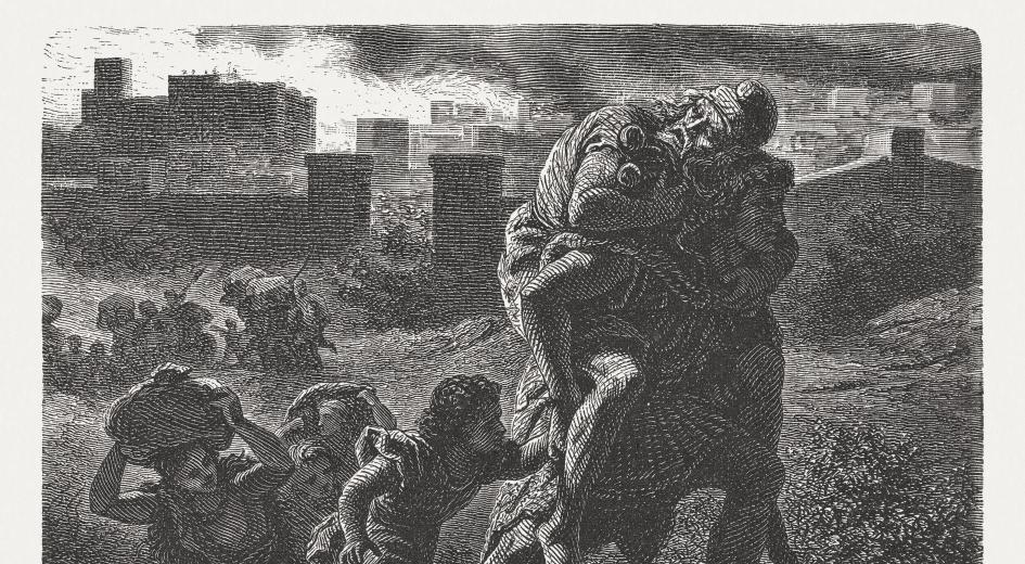 Awc essential essays 04 picture