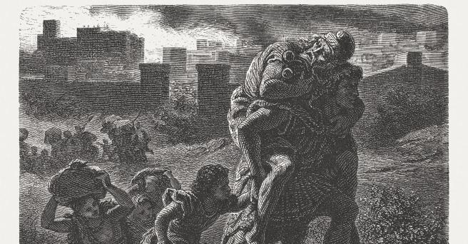 Awc essential essays 06 picture