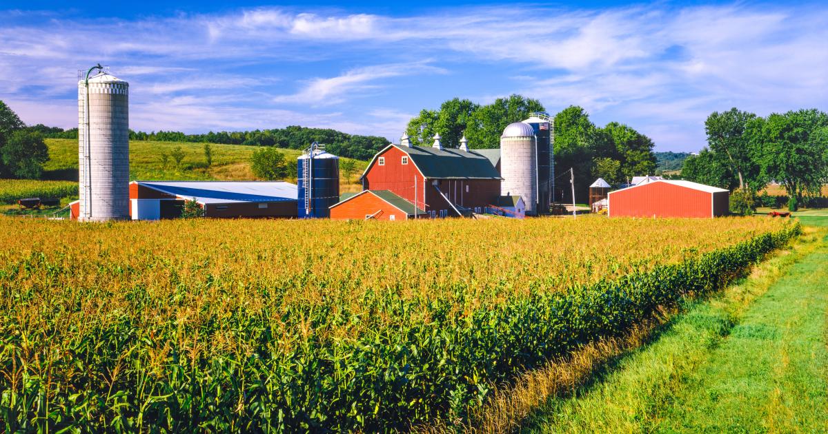 The Farm Economy and Rural America: What Are the Facts? | The Heritage