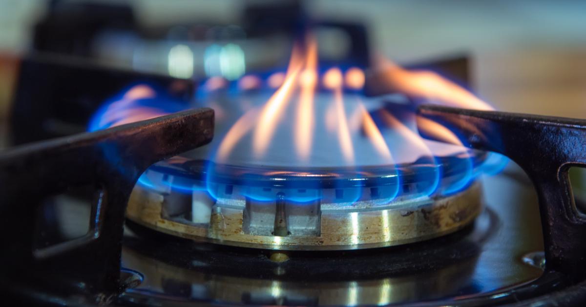 Why EcoWarriors’ Bid to Ban Natural Gas Appliances Is Wrongheaded