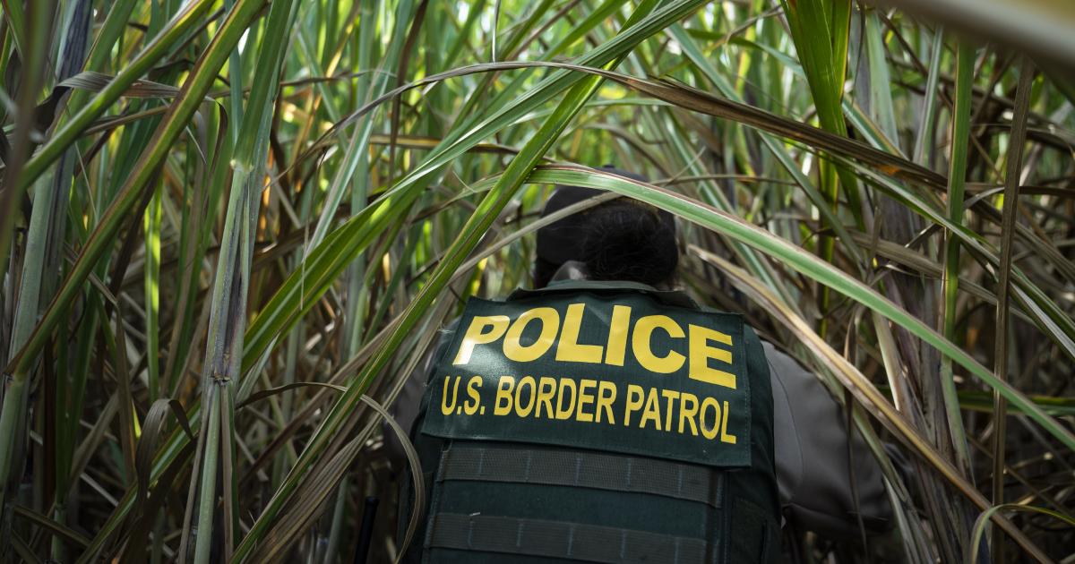 Effective Immigration Enforcement Can't Rely on Honor System - Vimarsana News