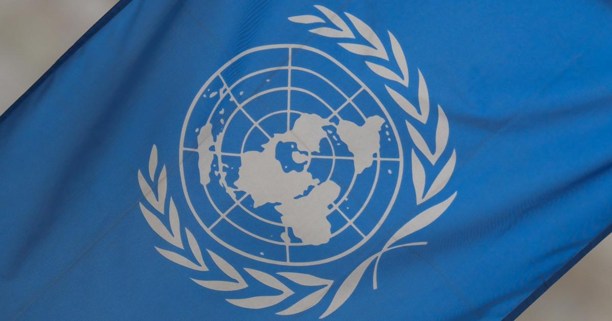 Is the United Nations a Failure?