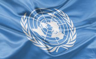 U.N. Specialized Agencies and Other International Organizations
