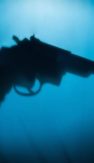 Gun control: what makes Australian and US laws so different? - Law Society Journal