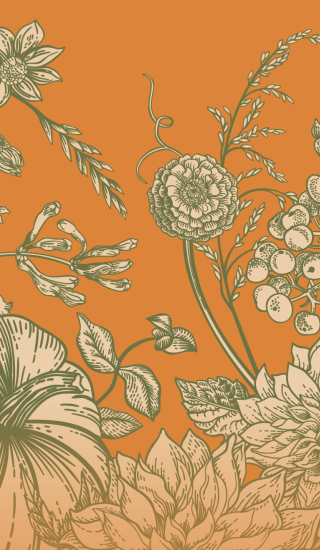 illustration of flowers and pumpkins