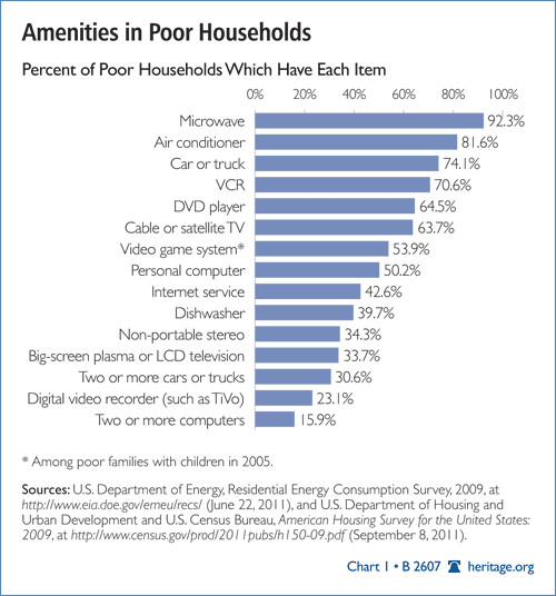 Amenities in Poor Households